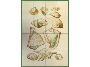 Mural cerámico conchas y caracolas